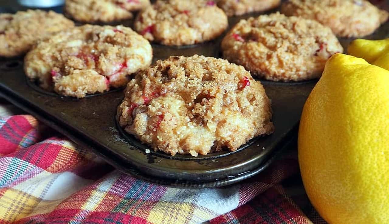 Lemon Cranberry Chocolate Chip Walnut Muffins